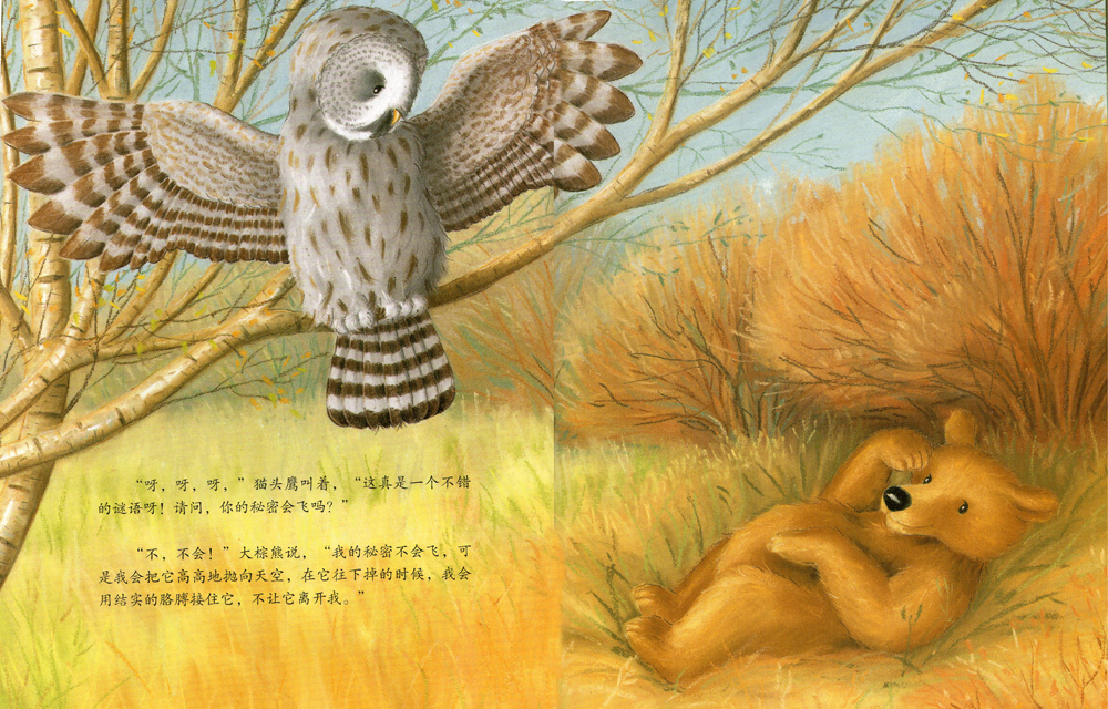 大棕熊的秘密 (06),绘本,绘本故事,绘本阅读,故事书,童书,图画书,课外阅读